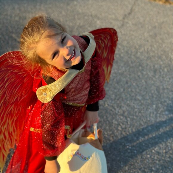 Chasing Fireflies Size 5/6 Phoenix Costume for Girls - Picture 7 of 7